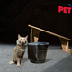Image for article titled PetSmart Unveils New Waterboarding Kit For Teaching Cats To Stay Off Counters